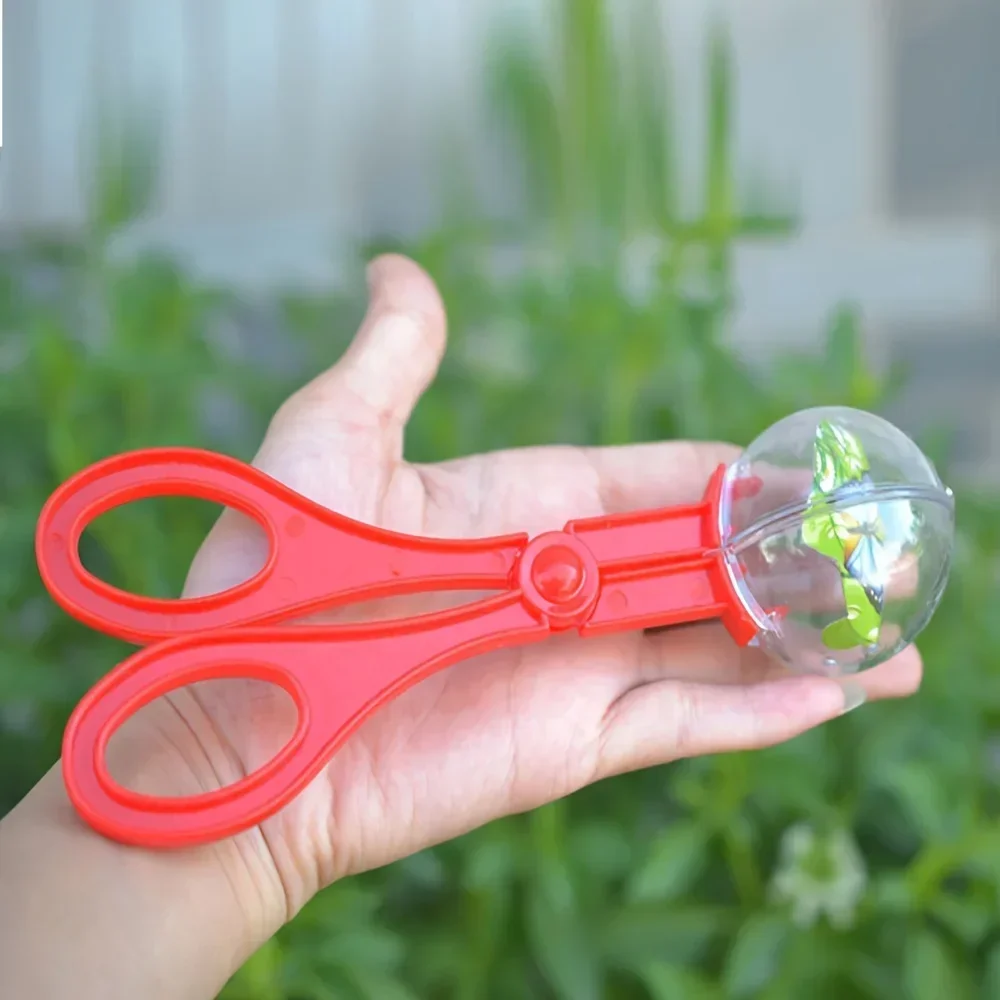 Colorful Large Bead Bug Catchi - Outdoor Adventure Toys For Kids ulasan dan harga